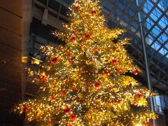 ２０１１　日本テレビ大屋根広場のクリスマスツリー♪【イッテＱ！ツリー】