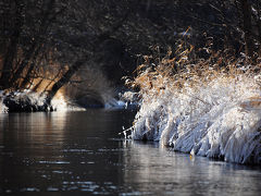 初冬の道東　樹氷の釧路川源流でカヌー