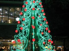 大人気のヨーロッパ料理でメリークリスマス　in マニラ　12月２５日　２０１１年