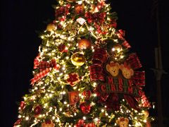 2011冬旅④　TDS CHRISTMAS WISHES & 10th ANNIVERSARY「Be Magical!」／夜の部／クリスマスツリーを探せ！