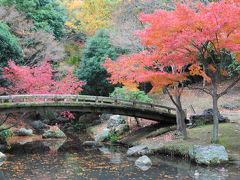 浜松★紅葉を見に、浜松城散歩