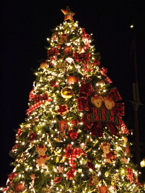 2011冬旅④ TDS CHRISTMAS WISHES & 10th ANNIVERSARY「Be