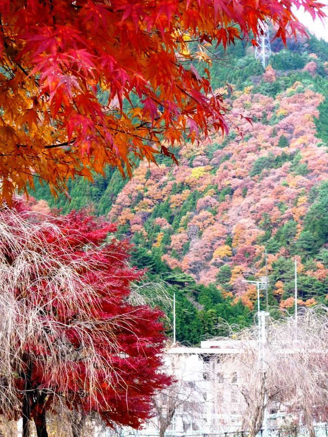 2012.11.再訪追記しました。<br /><br />二泊三日で終わりかけの紅葉見物と安い温泉宿を楽しんできました。<br /><br />きっかけはチケットショップ。<br />成田行きで京成の安い切符を買いに行ったら<br />東武株主優待切符が５００円で売っていた事からです。<br /><br />東武ですからこれで日光まで行けます。<br />往復千円で安い…行くしかない！<br /><br />ネットで日光より手前の鬼怒川に<br />一泊二食六千七百円の安い宿を見つけて準備が整いました。<br /><br />初日二十九日早朝に北千住発の東武で出発しました。<br /><br />