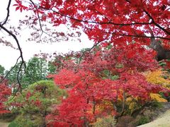 箱根で紅葉を満喫　～強羅から宮ノ下温泉へ～