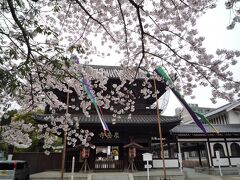 東京港区へ　桜の季節に義士の墓参り