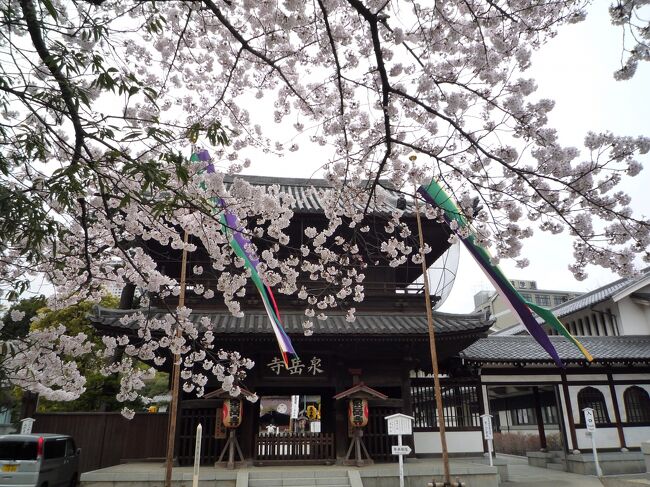 東京は桜が満開だという知らせを聞き、ぶらりと散歩をしながらの花見に行ってきました。