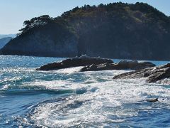 三陸路・絆-8　みやこ浄土ヶ浜観光船は就航再開　☆津波から逃れた一隻で