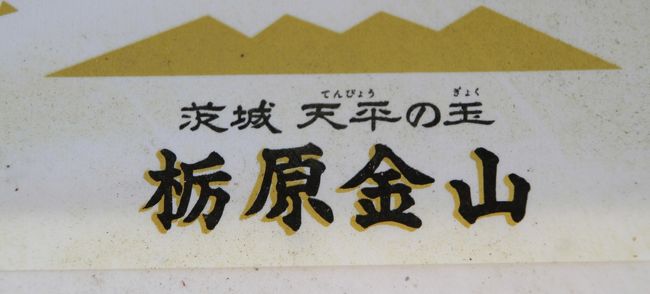 金山探索第一部　「栃原金山」とは…要約です【約６００年前発見され江戸時代に佐竹藩（常陸太田市から水戸市へ移城のちに秋田へ国替えさせられる）の隠れ金山として採掘されていた。佐竹藩は国替え時に鉱口を塞ぎ鉱山技師を秋田に連れて行った。昭和６２年（1987年）東洋金属鉱業（旧大子鉱山株式会社　栃原鉱業所）が鉱業権を得て金山として再開した。平成９年（1997年）ごろから休業し、金山観光施設としていたがそれも現在休止状態。】と言う訳で、どんな金鉱山だったかを探索に行きました。なんと11月から12月の休日に４度も通いました。写真は観光施設跡に落ちていた当時のパンフレット。何時だったか、ＮＨＫのお昼時間帯に「ひるどき日本列島」という番組でこの栃原金山の観光施設をＰＲしていた記憶があります。まさか今になって訪れるとは！訪問したいがために記憶に残っていたとか…