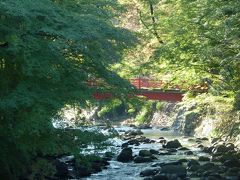 修善寺～湯ヶ島　まったり温泉旅行