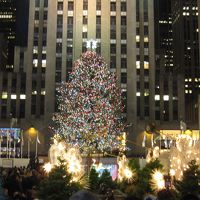 NY Holiday Season 2011