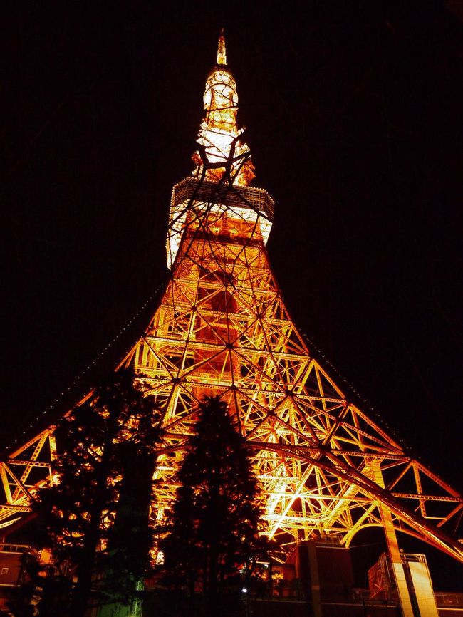 大晦日から元旦にかけて車で東京に行って来ました。<br />ある程度コースを決めてありましたが、勝手気ままな所もあり…。<br /><br />第１回は、大晦日東京タワーへ。<br /><br />★東京タワーのHPです。<br />http://www.tokyotower.co.jp/333/index.html