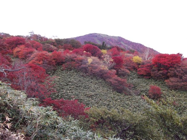 那須岳<br />那須ロープウェイ　１人往復　1,100円でしたが、なんと帰りのロープウェイに乗り損ね歩きました・・・手数料が掛かり返金　250円でした。<br />＊最終便に乗り遅れた訳では有りません・・・これか゜ロープウェイ遭難？