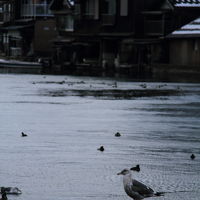 京都　冬の丹後半島