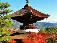 京都錦秋-7　常寂光寺　全山紅葉真っ盛り　☆嵯峨嵐山駅から歩いて