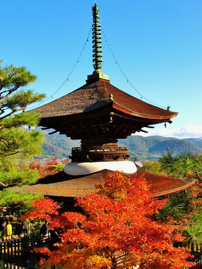 常寂光寺（じょうじゃっこうじ）は京都府京都市の嵯峨野にある日蓮宗の仏教寺院。山号は小倉山。<br /><br />百人一首で詠まれる小倉山の中腹の斜面にあって境内からは嵯峨野を一望でき、秋は全山紅葉に包まれる。その常寂光土のような風情から寺号がつけられたとされる。<br /><br />平安時代に藤原定家の山荘「時雨亭」があったと伝わる地で、安土桃山時代末の慶長元年（1596年）に日蓮宗大本山本圀寺十六世日禎が隠棲の地として当山を開いた。<br /><br />歌人でもある日禎に小倉山の麓の土地を寄進したのは角倉了以と角倉栄可で、小早川秀秋ら大名の寄進により堂塔伽藍が整備された。<br /><br />多宝塔 - 国の重要文化財、元和6年（1620年）建立、高さ12m、檜皮葺<br />本堂 - 桃山城の客殿を慶長年間に移築<br />仁王門 - 南元和2年（1616年）に現在地に移築、藁葺き <br />仁王像 - 福井県小浜の日蓮宗寺院・長源寺から移された。寺伝に運慶作という<br />（フリー百科事典『ウィキペディア（Wikipedia）』より引用）<br /><br />常寂光寺については・・<br />http://www.jojakko-ji.or.jp/<br />