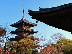 京都錦秋11　東寺＝教王護国寺　空海の教え伝えて　☆旅の終わりに