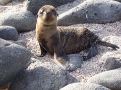 2011年12月　エクアドルとガラパゴス諸島　その①　準備編