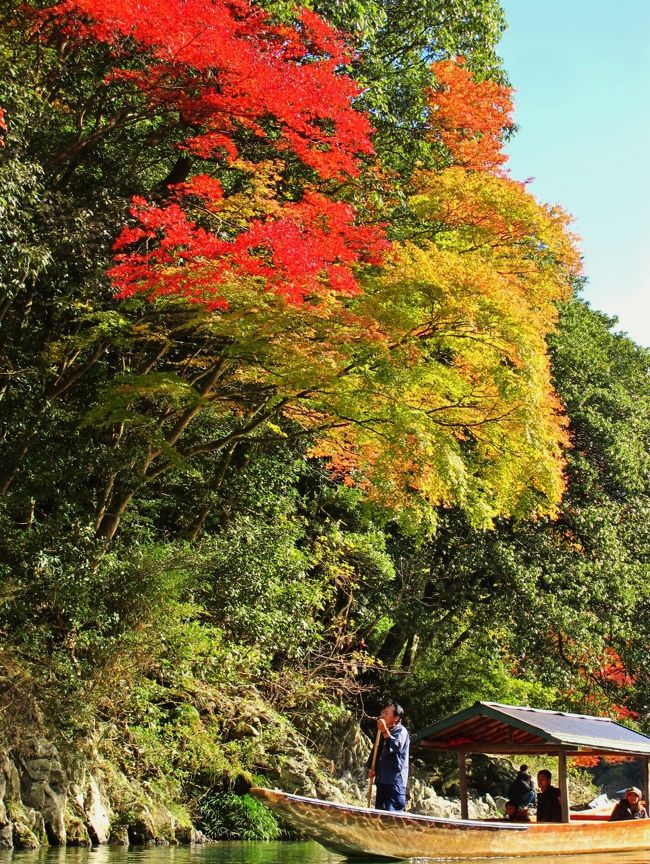 京都・嵐山の中心を流れる大堰川(おおいがわ)。 大堰川では、平安時代にお公家様がお船遊びをされたことに端を発し、明治の初めから観光用として屋形船が遊覧しております。<br /> <br />大堰川上流まで、船頭が竿一本で遊覧致します。 所要時間30分<br /> 貸切:2人まで/3,500円+1人増えるごとに1,100円 <br /> 乗合:繁忙期のみ・随時出船 大人/1,100円・小人(4〜12歳)/550円<br />(下記より引用)<br /><br />嵐山通船?については・・<br />http://www16.plala.or.jp/kyoto-yakatabune/index.html<br />