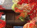 新座-2　金鳳山平林寺　境内ひと廻り　☆ 禅修行の専門道場もあり