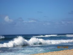 イルカとノースショアを満喫☆ハワイ旅行２