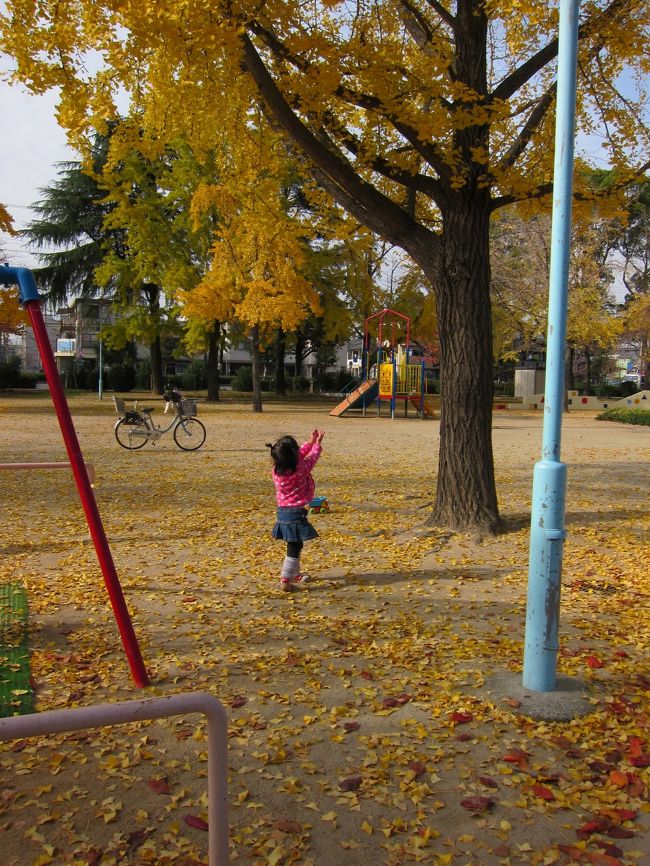 私はチェンコーンに住んで、６年になります。<br />娘の葉子も４歳になりました。<br /><br />年に一度の大阪帰国。<br />年に一度の、一人孫葉子のお披露目会です。<br />葉子が元気である、とゆうことの証明が私の出来る唯一の親孝行だと信じて、娘と二人で帰国します。<br /><br />夫のシンは無国籍なので、一緒に来ることが出来ないけれど、<br />いつか、３人そろって帰国してみたいです。<br /><br />ちなみに葉子にとっては４回目の大阪。