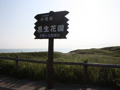 北海道旅行記２０１１年夏④原生花園・札幌・北斗星編