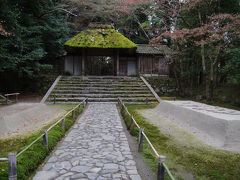 新年初散策は哲学の道～法然院へ