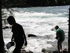 ★夏の北新疆（４） アルタイからカナス湖へ現地ツアーで行ってみた