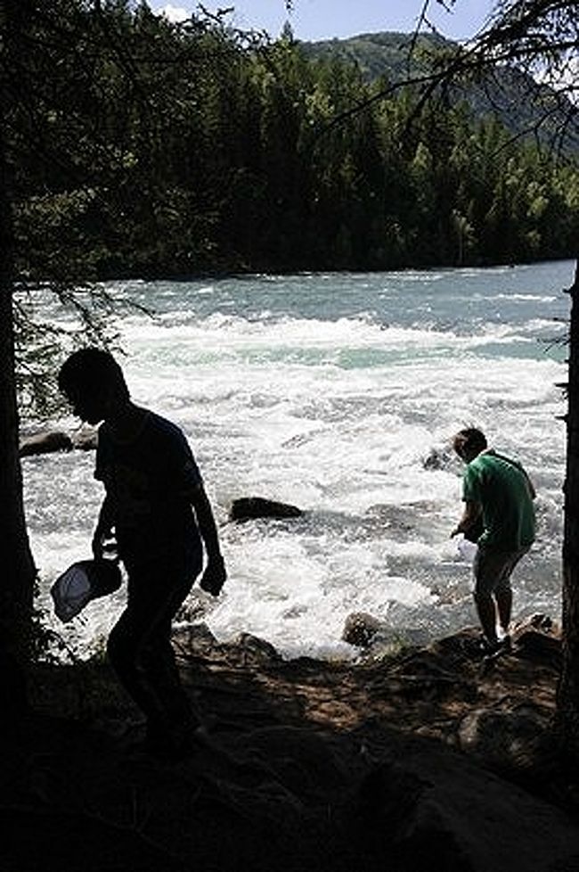 喀納斯湖(カナス湖)は、新疆ウイグル自治区のうちでも北の外れの阿勒泰(アルタイ)地区にあるフィヨルド湖。<br />カザフスタンとの国境まではわずか数十kmの位置にあります。<br /><br />SUR SHANGHAIは、アルタイの街の旅行社で一泊二日の現地ツアーに申し込んでカナス湖へ。<br />参加したのは、カナス湖の観光シーズンが真っ盛りになる直前の7月上旬で、ガイドさんを兼ねた運転手さんのほかにはSUR SHANGHAIと中国人カップルが一組だけの気楽な旅になりました。<br /><br />料金(600元)に含まれているのは、アルタイ⇔カナス湖の往復の車代(片道の所要時間は約4時間)、二日間カナス湖の風景区に入れるチケット代、それに簡単な朝食付きの宿代。<br />その他のオプション、交通機関のチケット、食事代などは現地でそれぞれ追加。<br /><br />この旅行記では下記の内容の1日目をご紹介しようと思います。 <br />●9時、アルタイ出発。<br />●カナス湖風景区手前が、ツアー用宿泊施設や食事場所が集中する賈登峪という場所。到着後はまず昼食。<br />●カナス湖風景区の入り口からカナス湖湖畔の観光センターまでは専用のシャトル・バス(別途90元/人)で小一時間。この道筋のカナス河沿いに、臥龍湾、月亮湾、神仙湾などの見所があります。<br />●観光センターに着いた後は、カナス湖を巡る遊覧船、モーターボート、カナス河のラフティング、トワ人の民家訪問などのアトラクションから選択して参加します。SUR SHANGHAIたちは三道湾を巡る遊覧船(小一時間で120元/人)とトワ人の民家訪問(30分ほどで50元/人)に参加。<br />●その後、バスで風景区の入り口に戻り、賈登峪にある宿へ。<br />●宿周辺の放牧地での乗馬体験などはオプション。<br />●夕食は軽くということになり、牛肉麺と羊肉串焼きのお店へ行ってそれぞれリタイア。<br /><br /><br />表紙の画像は、カナス湖から流れ出して渓流を作るカナス河。