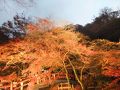 伊香保2011秋☆紅葉＆おもちゃと人形自動車博物館