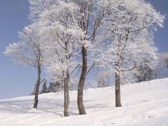 ゲレンデは雪いっぱい（＾−＾）ホワイトピアたかすで滑ってきました