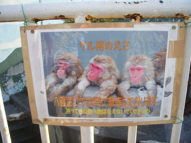 ＴＶでお猿が温泉につかっている映像を見た。<br />函館市内にある熱帯植物園です。動物園では<br />無いところが可笑しい。<br />市電・湯の川温泉駅から歩いて１５分、<br />空港まではタクシーで１０００円ほどの近さ。　　