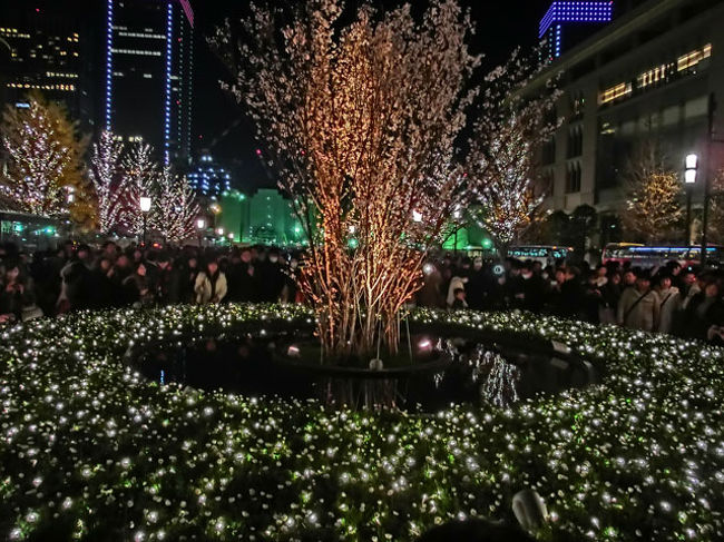 丸の内で開催されているイルミネーション<br />「光都東京・LIGHTPIA2011」を見てきました。<br />12/24ということもあり、寒い中、とても混んでいました。<br />街路樹のイルミネーションも綺麗でしたが、<br />花壇のイルミネーションがさらに綺麗でした。<br />灯篭(？)もきれいでした。