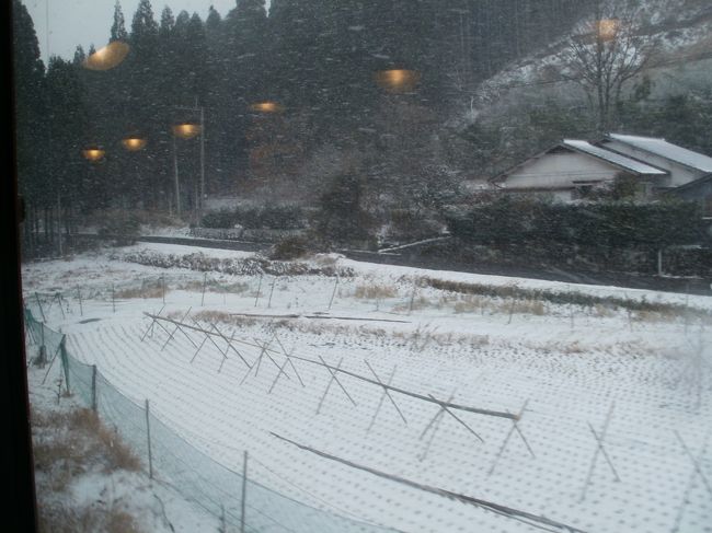 新年明けましておめでとうございます。本年も旅行記を書いて参りたいと思いますので、どうぞ宜しくお願い致します。<br /><br /><br />新春早々に、３日間のお休みを頂くことができました。<br />３日間でどこ行こうか検討したのですが、今話題になっているB787や九州新幹線だけでなく、各地の郷土料理も食べてみたいなぁと思いました。それだけでなく、肥薩線の観光列車「いさぶろう」号や奈良県にある室生寺にも行けたらと思うようになり、あれこれと色々と行きたい所をリストアップし、色々と詰め込んでみると、本当にあっちこっちになりました。しかし、ホテルなどを利用しないで寝ている間に目的地に到着すればできると思い、瀬戸内海を航行するフェリーを利用すれば可能であることがわかりました。<br /><br />そこで、出発２か月前に少しずつ準備を進め、実行になりました。<br /><br />どうぞご覧ください。<br /><br /><br />【旅行行程】<br /><br />・１月３日(火)<br /><br />東京羽田空港ANA651便7:30発→岡山空港8:50→リムジンバス→岡山市内観光(岡山城、後楽園を観光)→岡山駅12:58発さくら554号→新大阪13:44着→大阪にて昼食タイム(なんばの自由軒にて)→難波15:55発南海本線急行→泉大津16:14着、フェリー会社の無料送迎バスにて泉大津港へ→泉大津港17:30発阪九フェリーに乗船　(船内泊)<br /><br />・１月４日(水)<br />新門司港着6:00頃→フェリー会社の無料送迎バスにて門司駅へ、門司駅着6:35頃→門司6:47発普通列車→小倉着6:52(乗換え)6:57発こだま号に乗車→博多着7:17(乗換え)7:51発さくら405号→新八代着8:45(乗換え)8:58発くまがわ1号→人吉着10:00着(乗換え)10:08発いさぶろう1号→吉松着11:21(乗換え)11:24発はやとの風1号→鹿児島着12:45→鹿児島市内観光＆ショッピング(仙巌園、鹿児島中央駅の駅ビルにてショッピング)→鹿児島中央15:34発さくら572号→博多着17:02(乗換え)17:19発ソニック43号→小倉着18:06(乗換え)18:25発普通列車→門司18:31着、フェリー会社の送迎バスにて新門司港へ→新門司港19:50発名門大洋フェリーに乗船　　(船内泊)<br /><br />・１月５日(木)<br />大阪南港着8:20頃→ニュートラム、地下鉄を乗り継ぎ→鶴橋9:18発近鉄本線急行→室生口大野駅10:12着→室生寺拝観→室生口大野13:12発近鉄本線急行→大阪上本町14:13→地下鉄にて梅田へ、阪神百貨店にて阪神スナックパークにて郷土料理を堪能→大阪丸ビル15:55発リムジンバス→大阪伊丹空港16:20着→大阪伊丹空港JAL128便16:25発→東京羽田17:35着<br /><br />【利用交通機関、手配情報】<br />・ANA651便：プレミアムクラス搭乗。ＨＰより手配。<br />・さくら554号：指定席。JR西日本電話予約サービスにて手配。<br />・阪九フェリー：２等指定Ｂ洋室(シングル)、ＨＰより手配。<br />・ＪＲ九州内の列車：「霧島のんびりきっぷ」にて周遊。さくら572号、ソニック43号はグリーン車利用。その他は指定席。ＪＲ九州のコールセンターにて手配。<br />・名門大洋フェリー：２等洋室。ＨＰにて手配<br />・JAL128便：ファーストクラスに搭乗。マイレージにてＩＣクーポンに変換後、ＩＣクーポンにて購入。<br /><br /><br /><br />この巻ではいさぶろう号乗車のことを中心に書いています。熊本県・宮崎県・鹿児島県と３県にまたがって行くのです。<br /><br />※肥薩線「いさぶろう」号、矢岳駅から真幸駅へ向かう車窓です。南九州なのに雪が降っていました。<br /><br />