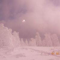 雪ニモマケズ、青春18きっぷで東北一人旅♪ ②宮城蔵王の樹氷見学編