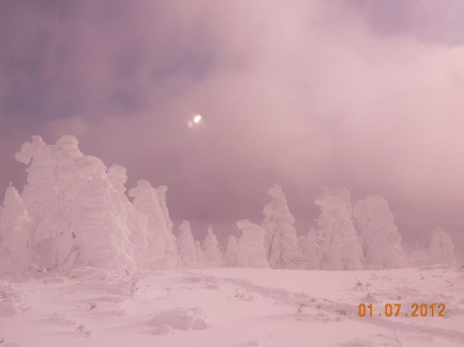 去年11月に急に思い立って、東北一人旅を計画した際、絶対にココは行くゾ!と決めたのが樹氷見学でした。<br /><br />今までの私の国内旅行は、好きなアーティストのコンサートツアーのスケジュールに合わせて、その土地の観光ありきでコンサートに参加をしていたので、やっぱり季節的にも良い時期になります。　樹氷が見れるような時期に東北でコンサートツアーをやることは、これからもないだろうと思って、今回はほぼ初めて、観光のみで旅行計画しました。<br /><br />最初は、樹氷といえばやっぱり1番有名なのは、山形の蔵王の樹氷!ということで、ウィンタースポーツの経験もナイ(それなりの防寒具も持ってない)のに、ロープウェイでの樹氷見学を計画しようと思ったのですが、初東北だという事で、寒さに耐えられるか自信がなくて、結局こちらの｢教えて!トラベラー｣コーナーで情報を頂いた、宮城の蔵王の樹氷見学ツアーに参加しました。<br /><br />あんな量の雪を見たのも、触ったのも、埋まったのも(笑)初めてで、寒さを忘れてはしゃいでしまいました～!　昔行ったことある友達からは｢寒いを通り越して、痛いよ!｣って言われてましたけど、そこまででもなかったかな、それとも日頃から結構薄着で生活してるので寒さにも強い体なのかな…。<br /><br />あまりの寒さに、1度見たら、もうイイや!!って思うかな?って最初は思っていたのですが、いつかまた樹氷が成長する良い季節に今度こそ山形の蔵王の樹氷のライトアップとか見に行ってみたいですねー。