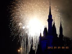 ディズニーランドでカウントダウン♪
