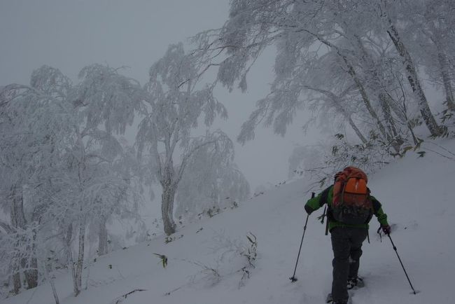 北海道二日目、雪の白老岳（ELV.９６２ｍ）にスノーシュー履いて登ってきました。この日の天候は晴れでしたが放射冷却で朝から気温が低く、さらに山頂付近では風が強くて体調維持に気を遣ったサバイバルな往復５時間の登山。。でした。
