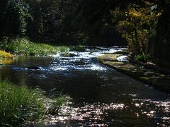 ふじのくに静岡ぐるり旅【4】～水の国「三島」せせらぎポイント巡り～平成の名水100選【1】源兵衛川＆宮さんの川(蓮沼川・ホタルの里)