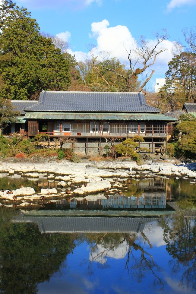 伊豆国、駿河国、遠江国の3国に分かれていた東西に広大な県。<br />静岡県のシンボル(富士山)(伊豆半島)(駿河湾)(御前崎)に基づき県旗もデザインされ、富士山観光から熱海・伊豆半島の温泉街、伊豆半島から沼津・焼津までの漁港、浜名湖など太平洋と富士山等の山々に囲まれた自然豊かな観光名所が多くあります。<br />今回のふじのくに静岡ぐるり旅は1/7～1/8の1泊2日の旅を企画。<br />旅の目的地は…<br />静岡県東部に位置する伊豆半島の三島市、沼津市、御殿場市。<br />静岡県中部に位置する静岡市清水区、駿河区を訪れました。<br />歴史と水の国「三島市」では初詣参拝客で賑わう「三嶋大社」や富士山麗の湧水で水が綺麗なことから平成名水100選「源兵衛川」や三島名物グルメの鰻など楽しみ、駿東郡清水町では最近旅の目的地に選んでいる日本の名水100選で有名な柿田川湧水群の「柿田川公園」へ。<br />漁港「沼津市」では皇室の別荘「沼津御用邸」、漁港の町らしく沼津漁港で海の幸グルメを堪能、大型展望水門「びゅうお」から見る綺麗な夕陽やライトアップを楽しみ、宿泊先の沼津駅前にあるHOTEL MIWA<br />にお世話になりました。<br />2日目は静岡市駿河区、日本平ロープウェイを利用して国宝「久能山東照宮」で初詣、近隣にある白熊ロッシー君で有名な「日本平動物園」で久しぶりに可愛い動物達を見て楽しみました。<br />お昼過ぎから静岡市清水区へ、Jリーグサッカーチームの清水エスパルスの本拠地らしいショッピングモール「エスパルスドリームプラザ」へ。さくらももこの出身地ということで施設内には「ちびまる子ちゃんランド」あり、漁港の町らしい「清水すしミュージアム」と清水漁港周辺を散策しました。<br />そしてこの旅、最後の目的地は御殿場市にある時之栖での冬のイベント「ILLUMINATION2011-2012 WINTER」で光のトンネルや光と水のイルミネーションを楽しみ、名物「静岡おでん」で冷えた体を温めお腹も満たして帰ることにしました。<br />2日間で観光名所15ヶ所を巡るスケジュールでしたが、幸い天候に恵まれよい旅となりました。残念だったのがふじのくに静岡らしい富士山の写真が撮れず…。次回は富士山の絵も撮りに訪れたいですね♪<br /><br />□■□■□■□■□■□■□■□■□■□■□■□■□■□■□■<br /><br />ふじのくに静岡ぐるり旅、歴史と水の国と称される「三島市」にある「楽寿園」へ行って来ました。<br />明治維新で活躍された小松宮彰仁親王が明治23年に別邸として造営されたもので、現在は三島市が運営する面積約72,768平方メートルと広大でＪＲ三島駅前にありながら自然豊かな公園。<br />園内には様々な施設が点在しています。どうぶつ広場にはカピバラ・レッサ－パンダ・ワラビ－などの可愛い動物達の他、のりもの広場ではメリ－ゴ－ランド・豆汽車等もあり自然だけではない小さいお子様も楽しめる施設もあります。<br />また園内の自然は四季折々の顔を持っています。約14,000年前の富士山の噴火により流出した三島溶岩流の上に作られていることから園内には溶岩流の洞穴などもあり、溶岩流の上に実生した樹木や小松宮彰仁親王の別邸造営時に植えられた樹木と合わせ約１６０種の樹木が生育しており、季節に応じた野鳥が約３０種類観察する事もできます。何より富士山麗の湧水が噴き出す天然池泉が豊富で湧き出す雪解け水が作る景観は絶景で、昭和29年には国指定の天然記念物・名勝に指定されました。近年は湧水の量も減少傾向で、楽寿館周辺の小浜池も枯渇しつつあり、年間で小浜池が満水になる時期も限られてきました。<br />150㎝以上が満水とされていますが、1年間で満水になるは10月・11月と限定されているため、訪れる時期も重要な場所ではあります。やせりの瀬、はやの瀬も天然池泉で透明度の高い綺麗な水が流れていて水の国「三島」らしい観光名所と言えます。<br />楽寿館の入館は自由ではなく、時間が限定されているため事前に調べて行かれることをおススメします。有料の公園ではありますが水の透明度や珍しい溶岩流の後など見所満載の観光名所のため是非一度は訪れてみて欲しい場所ですね♪<br /><br />□■□■□■□■□■□■□■□■□■□■□■□■□■□■□■<br /><br />＜楽寿園＞<br />〒411-0036<br />静岡県三島市一番町19-3<br />電話番号　055-975-2570<br />開園時間<br />9時00分～17時00分(4月～10月）<br />9時00分～16時30分(11月～3月)<br />入場料<br />大人(満15歳以上)300円<br />小人(満4歳以上15歳未満)50円<br />http://www.city.mishima.shizuoka.jp/rakujyu/<br /><br />□■□■□■□■□■□■□■□■□■□■□■□■□■□■□■<br /><br />ふじのくに静岡ぐるり旅<br />【1】三嶋大社<br />http://4travel.jp/traveler/dekadora/album/10636822/<br />【2】楽寿園<br />http://4travel.jp/traveler/dekadora/album/10637264/<br />【3】白滝公園＆三島グルメ鰻「高田屋」<br />http://4travel.jp/traveler/dekadora/album/10637289/<br />【4】平成名水100選「源兵衛川」<br />http://4travel.jp/traveler/dekadora/album/10637293/<br />【5】日本名水100選「柿田川湧水群」<br />http://4travel.jp/traveler/dekadora/album/10637296/<br />【6】旧沼津御用邸<br />http://4travel.jp/traveler/dekadora/album/10637590/<br />【7】大型展望水門「びゅうお」<br />http://4travel.jp/traveler/dekadora/album/10637601/<br />【8】沼津漁港＆港八十三番地<br />http://4travel.jp/traveler/dekadora/album/10637616/<br />【9】HOTEL MIWA<br />http://4travel.jp/traveler/dekadora/album/10637625/<br />【10】日本平ロープウェイ<br />http://4travel.jp/traveler/dekadora/album/10637635/<br />【11】久能山東照宮<br />http://4travel.jp/traveler/dekadora/album/10637667/<br />【12】日本平動物園①<br />http://4travel.jp/traveler/dekadora/album/10637674/<br />【13】日本平動物園②<br />http://4travel.jp/traveler/dekadora/album/10637705/<br />【14】エスパルスドリームプラザ<br />http://4travel.jp/traveler/dekadora/album/10637744/<br />【15】ちびまる子ちゃんランド<br />http://4travel.jp/traveler/dekadora/album/10637754/<br />【16】清水すしミュージアム<br />http://4travel.jp/traveler/dekadora/album/10637768/<br />【17】時之栖ILLUMINATION2011-2012 WINTER <br />http://4travel.jp/traveler/dekadora/album/10639084/ 