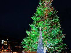 道南-9　函館　クリスマスファンタジーの夕べ　☆港に輝くカナダ産モミの木