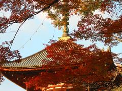 '11.晩秋の根来寺