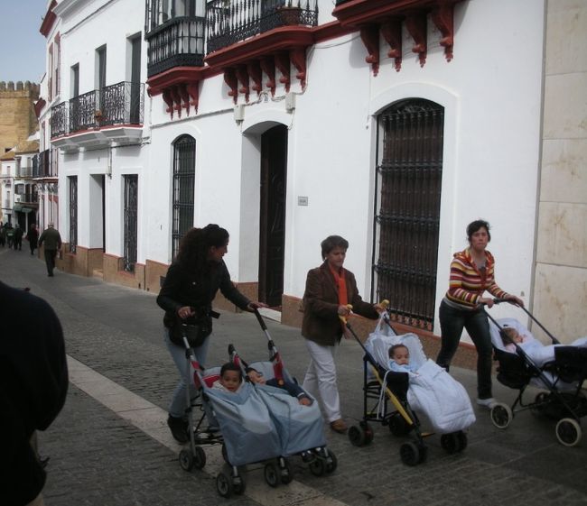 カルモナ_Carmona　一面のヒマワリ！．．にはまだ早かった、セビーリャ近郊の美しい町