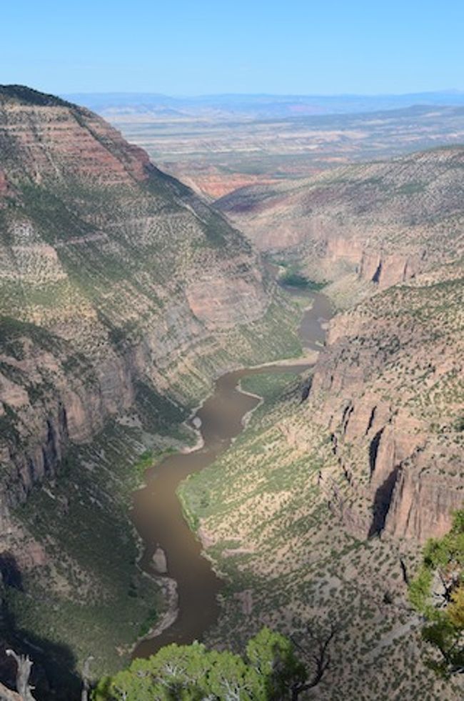 2011.8.4<br />VernalからまずDinosaur National MonumentのColorado側へ。想像していた以上に素晴らしい景色が広がっていました。遠くまでわざわざ来た甲斐がありました。<br />園内が広く予想以上に時間を費やしてしまい、Utah側には昼頃に到着。化石採掘場が工事中なので、岩肌に化石が見える場所までのレンジャーツアーにバスで行きました。その奥に広がる園内も、また素晴らしい景色でした。<br />US40経由でSalt Lake Cityへ。<br /><br />