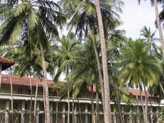 初めてのスリランカ・メインの旅・・・ビーチ・リゾート一ヶ所滞在