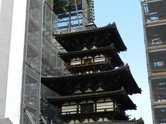 『草の戸』でランチ～『薬師寺』～『ガトー・ド・ボワ』でカフェ◆奈良コミュ初詣オフ会≪後編≫