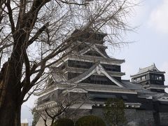 愛犬を連れての温泉旅行（熊本編）