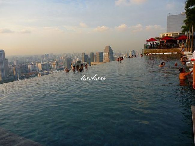 天空プールからの絶景 マリーナベイサンズに宿泊 シンガポール シンガポール の旅行記 ブログ By Kachariさん フォートラベル
