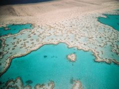 ハネムーンinオーストラリア①　(ハミルトン島・ゴールドコースト・シドニー)