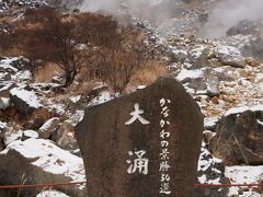 家族旅行～箱根・強羅温泉・大涌谷・彫刻の森美術館～